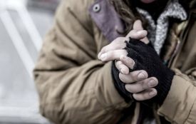 Як вінничани можуть врятувати життя безпритульним у морози