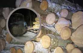 Трактор із лісом без документів. У Гущинцях патрульні виявили ймовірну крадіжку деревини