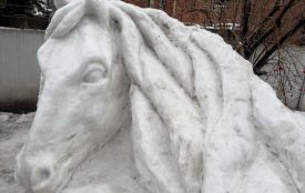 Від напису «Я люблю Вінницю» до снігового коня в Гайсині. Як боєць ЗСУ створює мистецтво