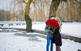 Кращі місця для покупки квітів: як обрати та де замовити (парнерський проєкт)