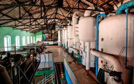 «Вистачить не тільки до чаю»: уже є понад 320 тисяч тонн цукру, але три заводи ще працюють