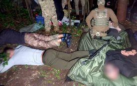 В лісі під Вінницею ростили три тисячі кущів конопель: викрили масштабну банду наркоділків