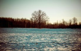 Кого сьогодні вітаємо та що відзначаємо. Історія, заборони та прикмети 19 січня