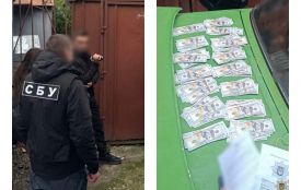 Продала «статус дружини» для втечі за кордон — жителька Жмеринщини постане перед судом