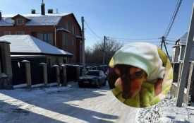 «Дівчата, замерзаю я й тварини»: понад 30 годин чекали світла  на двох вулицях Старого міста