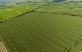 180 гектарів ріллі на Жмеринщині вилучили у недобросовісного орендаря