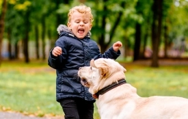 Понад тисячу випадків за рік: в обласну лікарню щодня потрапляє кілька дітей через укуси собак