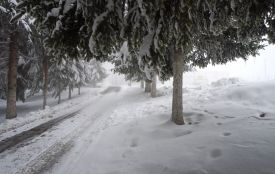 Сьогодні іменини в Євдокії та Геннадія. Історія, заборони та прикмети 23 січня
