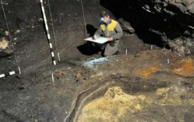 Землі з поселенням Трипільської культури опинилися в приватних руках. Їх хочуть повернути державі