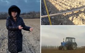 Трипільська спадщина під плугом: суд розглядає справу про землю в урочищі «Вапельня»