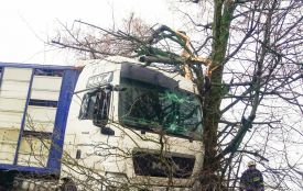 У Бершаді вантажівка врізалася в дерево