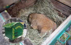 Весна чи продовження лютих морозів? Дізнайтеся, який прогноз дав новий головний синоптик країни