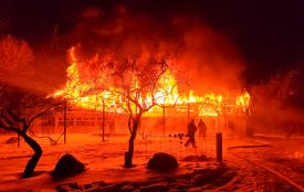 11 пожеж за одну добу: у Гайсині вночі вщент згоріло кафе, а у Вінниці — магазин