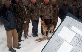 Полювання вперше за чотири роки відкрили, але його зірвали браконьєри