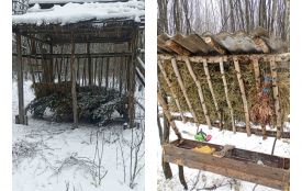 Козулі, олені та кабани. Екологи підрахували чисельність дикої фауни у Хмільницькому районі