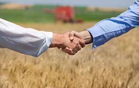 Від 50 до 500 тисяч на власну справу. У Вінниці почали роздавати ваучери для розвитку бізнесу