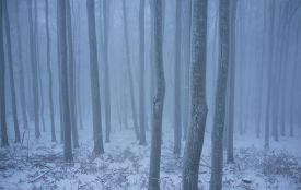 Сьогодні вітаємо Захарія, Данила та Марію. Історія, заборони та прикмети 8 лютого