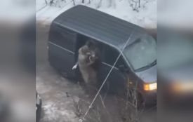 Запхали в чорний бус і повезли в невідомому напрямку — у ТЦК відреагували на інцидент