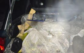 Виловив понад сотню рибин і спровокував бійку: в Степашках затримали браконьєра