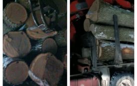 У Жмеринському районі зупинили вантажівку з нелегальним лісом