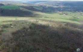 Прокурори відвоювали у фермерів шість гектарів нацпарку, які ті засівали 11 років