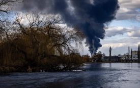 Збитки довкіллю на Вінниччині за час війни склали понад 2,5 мільярда гривень