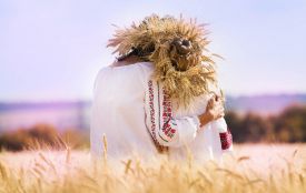 Які прізвища найчастіше трапляються на Вінниччині? Склали ТОП-20 найпопулярніших