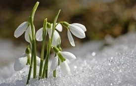 Від -2° до +11°: якою буде погода у Вінниці на початку березня