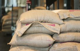 Замість парт — мішки з зерном: у Бершадській громаді незаконно продали школу під агросклад