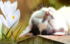 По-весняному тепло і сонячно: якою буде погода на Вінниччині цього робочого тижня