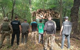 Вирубили дерева у «Кармелюковому Поділлі». На лаву підсудних підуть дев’ятеро, серед них — працівники лісництва