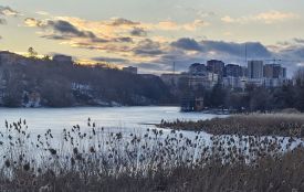 До +15° на Вінниччині, сонячно та тепло: прогноз погоди на вихідні
