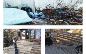 За сміття і зіпсовані лавки: у Вінниці виписали штрафів на 980 тисяч гривень
