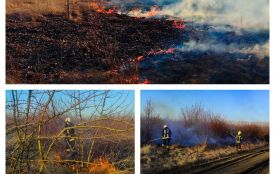 Хочете спалити траву? Готуйте 30 тисяч або збирайте речі в тюрму