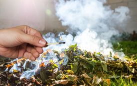 На картах NASA — десятки пожеж! На Вінниччині почався сезон паління листя. Чим це небезпечно?