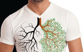 24 березня — Всесвітній день боротьби з туберкульозом: історія та прикмети 24 березня