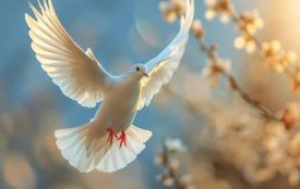 Сьогодні віряни відзначають Благовіщення Пресвятої Богородиці. Історія, традиції та заборони 25 березня