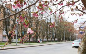 В цей день іменини в Івана та Остапа. Історія, заборони та прикмети 29 березня