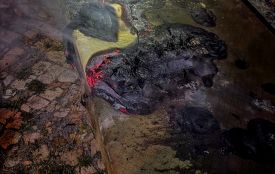 У Хмільнику чоловік ледь не згорів у власному ліжку