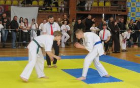 У Вінниці вперше пройшов турнір за правилами Real Fight Zendokai