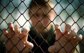 Від прибирання до догляду за тваринами. У Вінниці неповнолітніх, які порушили закон, залучать до роботи