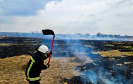 Сім гектарів попелу за добу: на Вінниччині масово горять поля та екосистеми