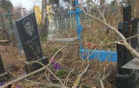 «30 років прошу зрізати старі дерева на кладовищі»: жінка викликала поліцію на цвинтар у Калинівці