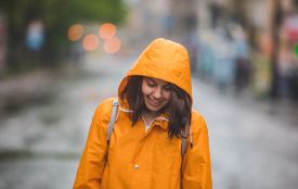 Сьогодні відзначають День флориста. Історія, заборони та прикмети 31 березня