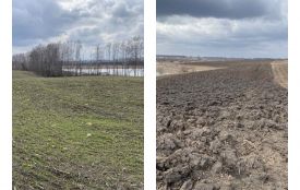 Замість пляжів — городи: на Вінниччині незаконно засіяли береги річок