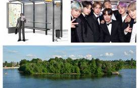 Вулиця BTS, перепис птахів і «зупинка Шкарпетка»: зареєстрували серію дивних петицій