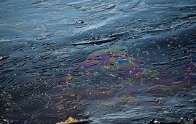 Російські атаки отруюють річки Вінниччини небезпечним мазутом