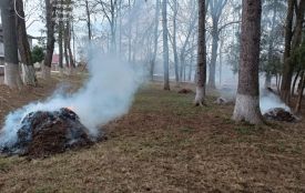 Спалене листя обійшлося жителю Джурина у 3060 гривень штрафу