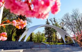 Парад тюльпанів, вітражі та писанки. Куди піти у Вінниці в квітні?