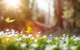 Сьогодні вітайте Марію та Микиту. Історія, традиції, заборони 4 квітня